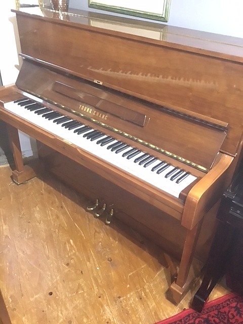 Young Chang U1 traditional